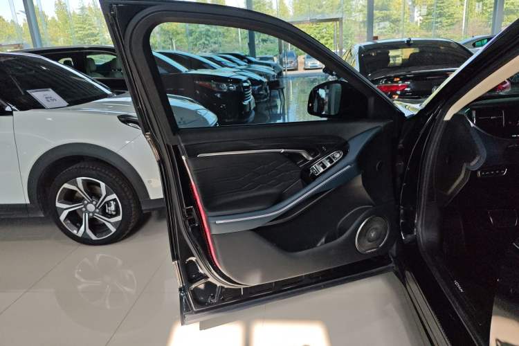 Used VOYAH FREE 2021 Four-Wheel Drive Standard Range-Extended Version
