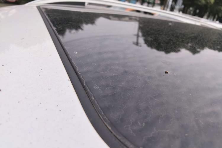 Used Haval H6 Coupe 2021 Smart Connect Version 1.5T Automatic Two-Wheel Drive Elite Model
