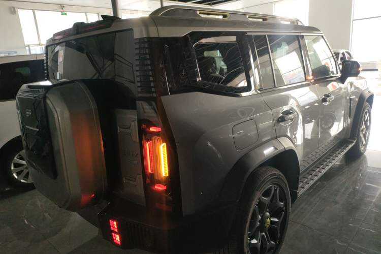 Used  Shanhai T2 2024 C-DM 208KM Mountain & Wilderness Edition
