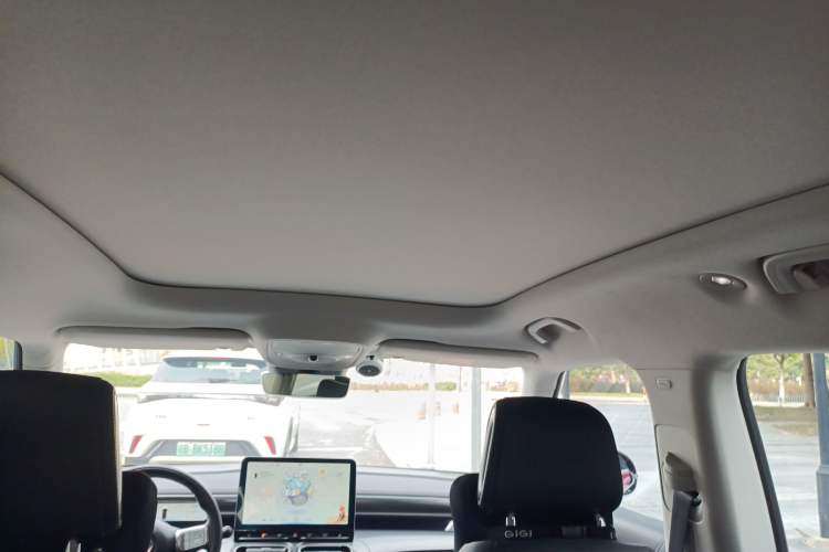 Used  #1 2023 Pro Edition
