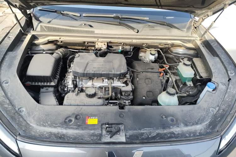 Used Wuling Xingguang S 2024 130 km Flagship Version
