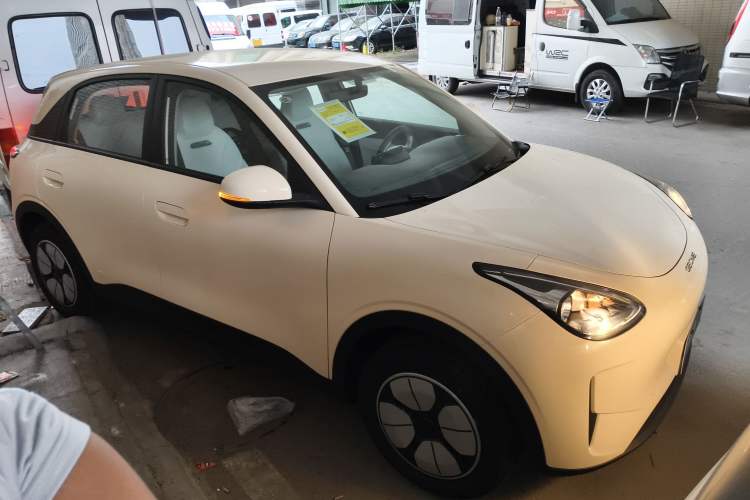 Used  Geome 2025 310km Youth Edition
