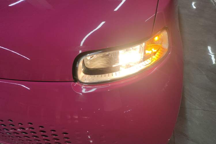 Used ORA White Cat 2020 360 km Luxury Version
