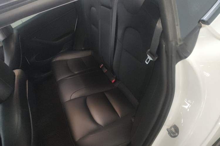 Used Tesla Model 3 2022 Rear-Wheel-Drive Version
