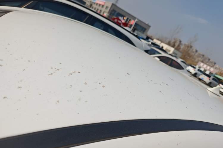 Used SOL E10X 2022 Flower Fairy Design Four-Leaf Clover