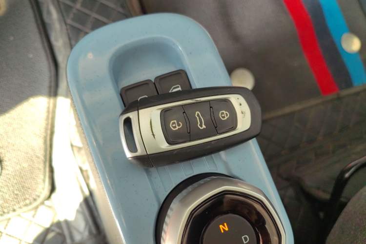 Used  Panda 2024 Panda Mini 200km Endurance Bear
