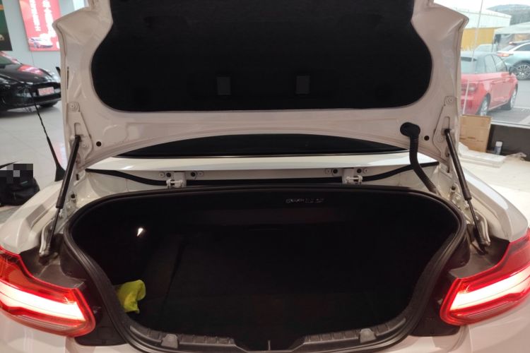 Used BMW 2 Series 2019 225i Convertible Coupe Sports Design Package
