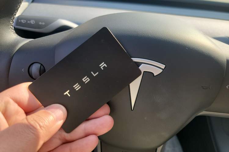 Used Tesla Model Y 2023 Rear-Wheel-Drive Version
