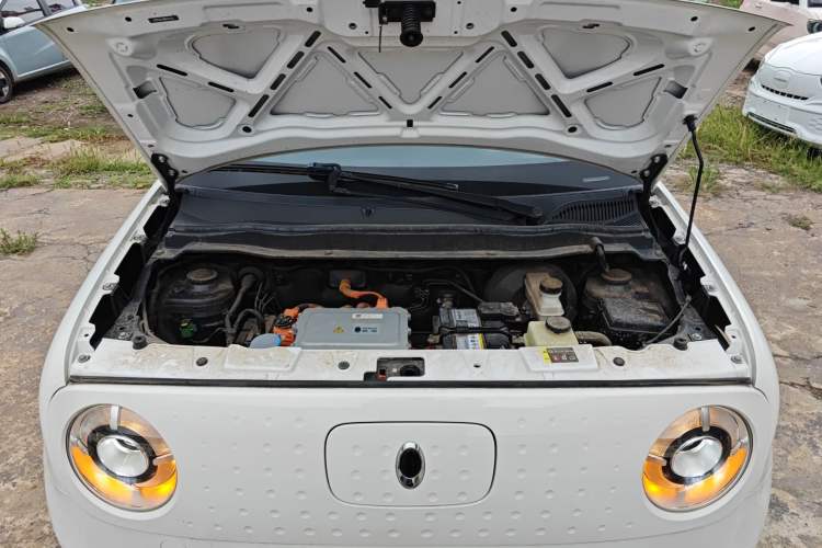 Used ORA Black Cat 2021 301 km Basic Version
