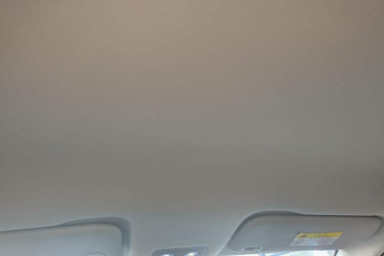 Used NETA V 2022 Chao 300 Industry Edition
