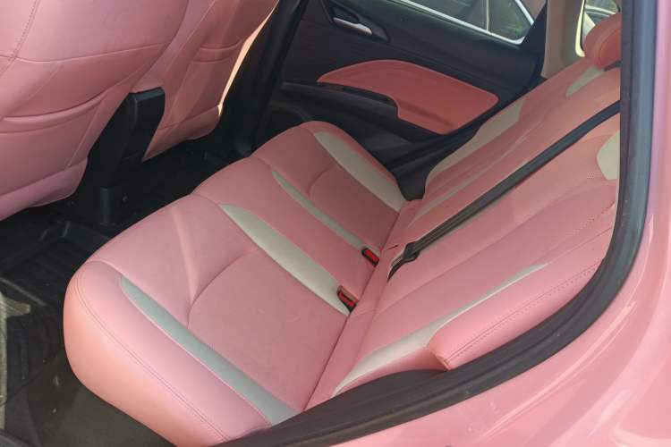 Used NETA V 2022 Chao 400 Lite Pink Custom Edition
