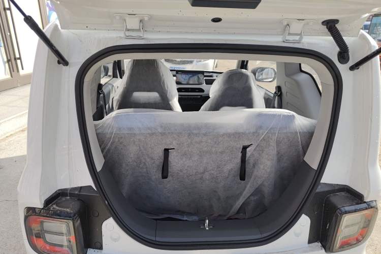 Used  Panda 2024 Panda Mini 200km Endurance Bear