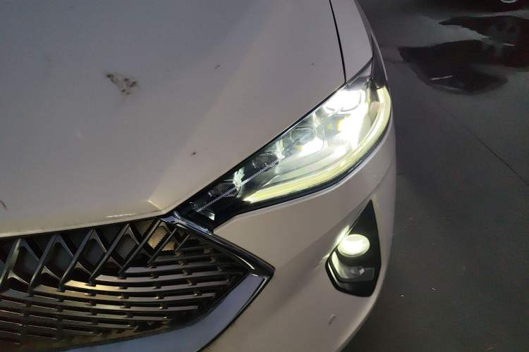 Used Haval F7 2021 2.0T Two-Wheel Drive i-Van
