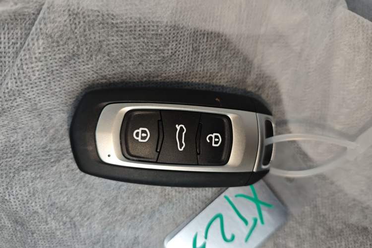 Used  Panda 2024 Panda Mini 200km Endurance Bear
