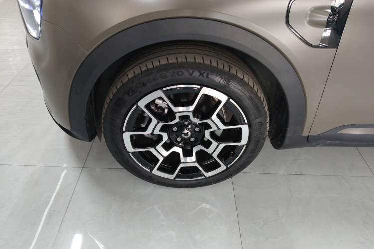 Used  #5 2024 Jungle Realm Limited Edition