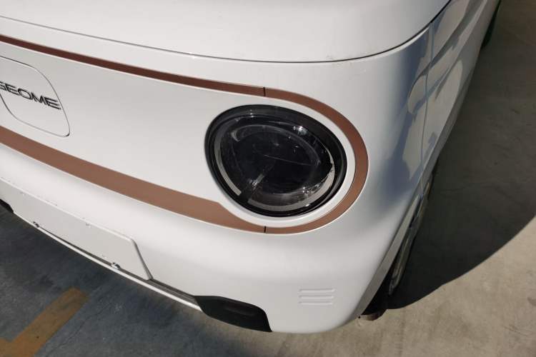 Used  Panda 2024 Panda Mini 200km Endurance Bear
