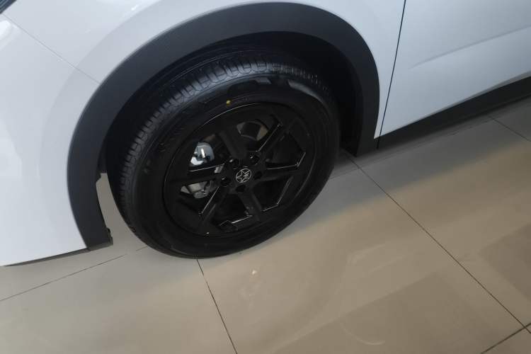 Used Venucia VX6 2024 450 Travel Edition
