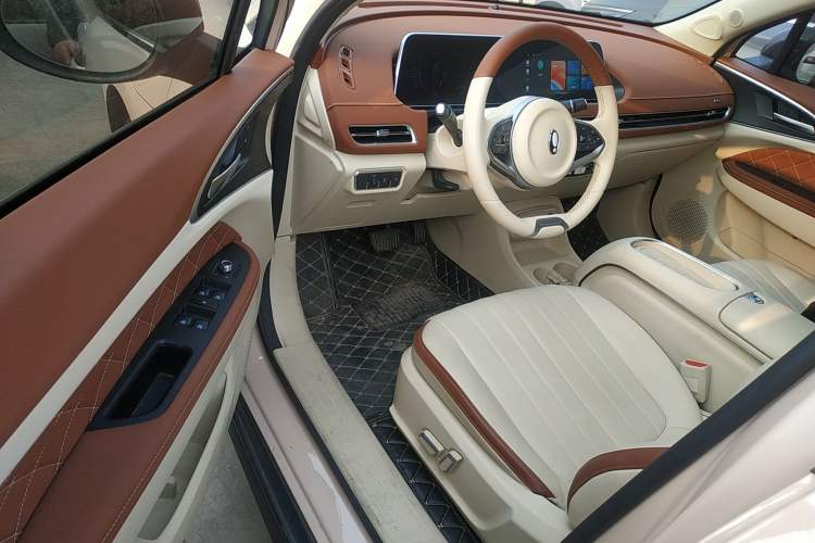 Used ORA Good Cat 2023 401 km Standard Range Luxury Version Lithium Iron Phosphate