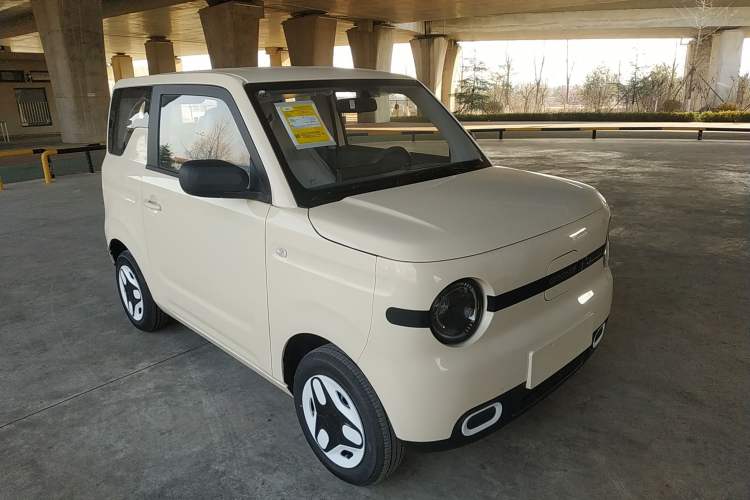 Used  Panda 2025 210 km – Yuanqi Bear
