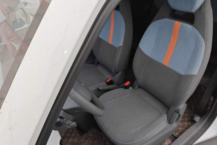 Used  Panda 2024 Panda Mini 200km Endurance Bear