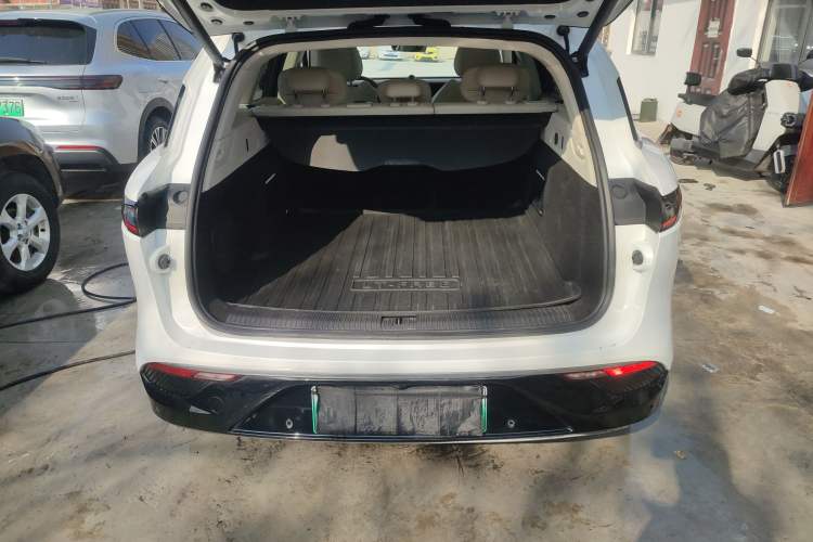 Used VOYAH FREE 2021 Four-Wheel Drive Standard All-Electric Exclusive Luxury Package
