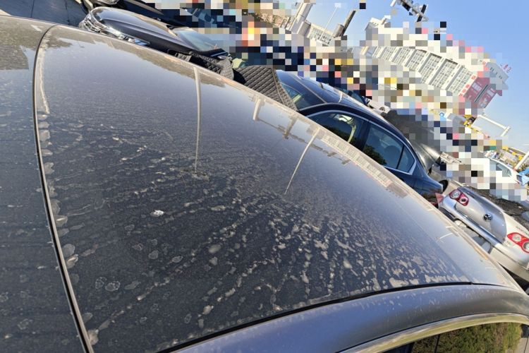 Used Tesla Model 3 2020 Refreshed Version Long-Range Rear-Wheel Drive
