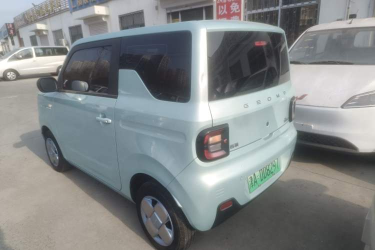 Used  Panda 2024 Panda Mini 200km Endurance Bear
