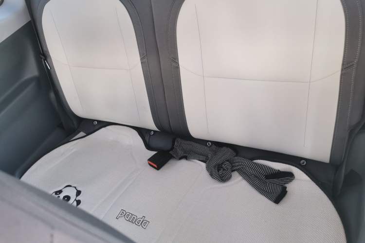 Used  Panda 2024 200km Panda Kart
