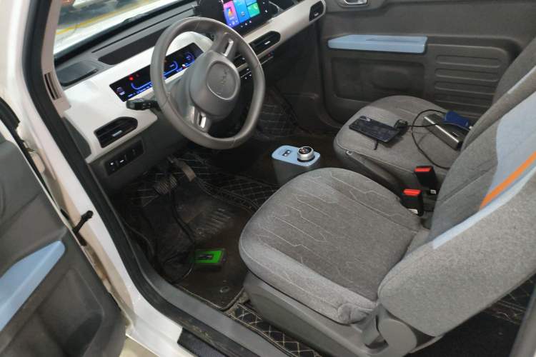 Used  Panda 2023 Panda Mini 200km Endurance Bear
