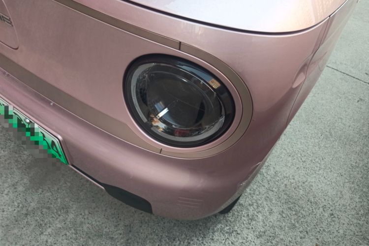 Used  Panda 2023 Panda Mini New Year Edition Treasure Bear
