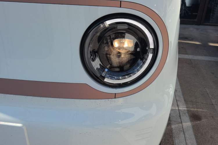 Used  Panda 2024 Panda Mini 200km Endurance Bear
