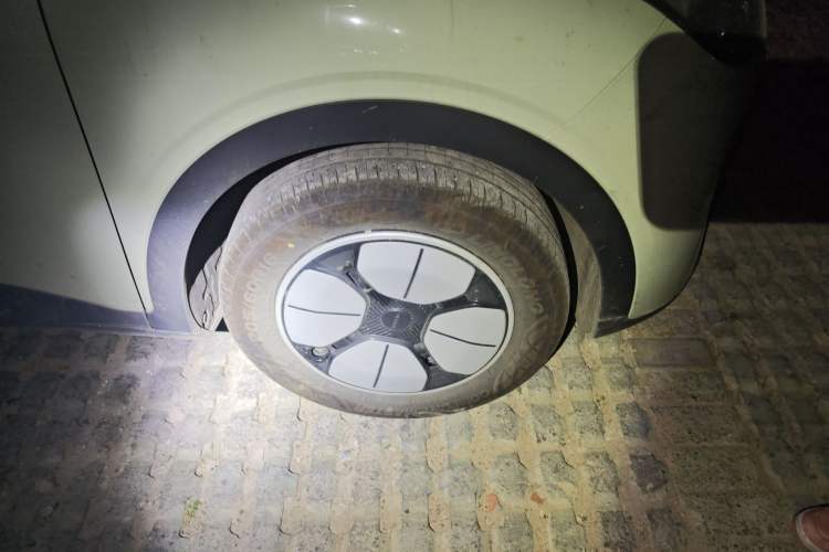 Used  Geome 2025 310km Youth Edition
