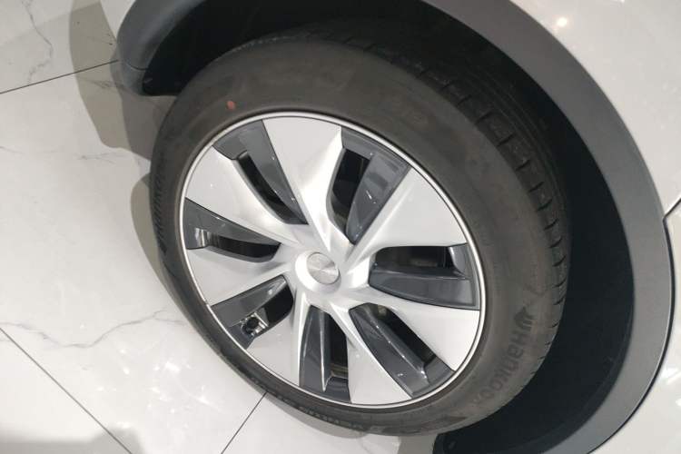 Used Tesla Model Y 2021 Standard Range Rear-Wheel Drive Version
