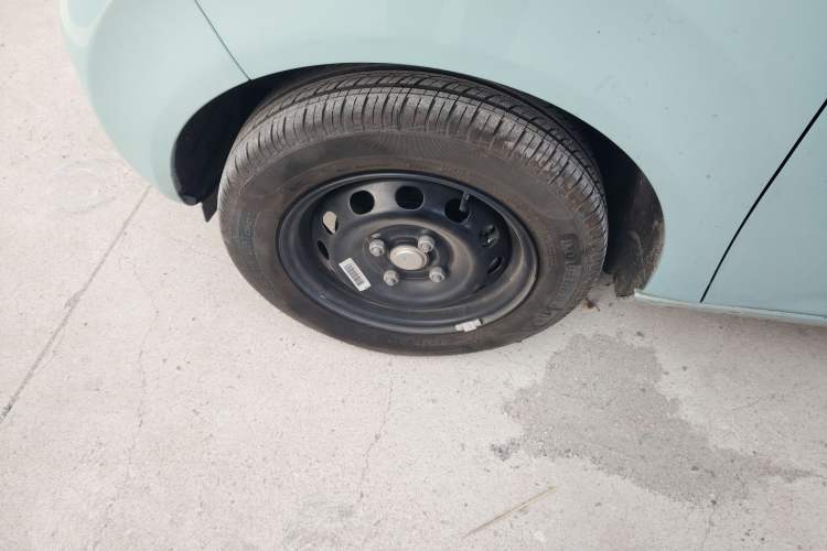 Used  Panda 2024 Panda Mini 200km Endurance Bear
