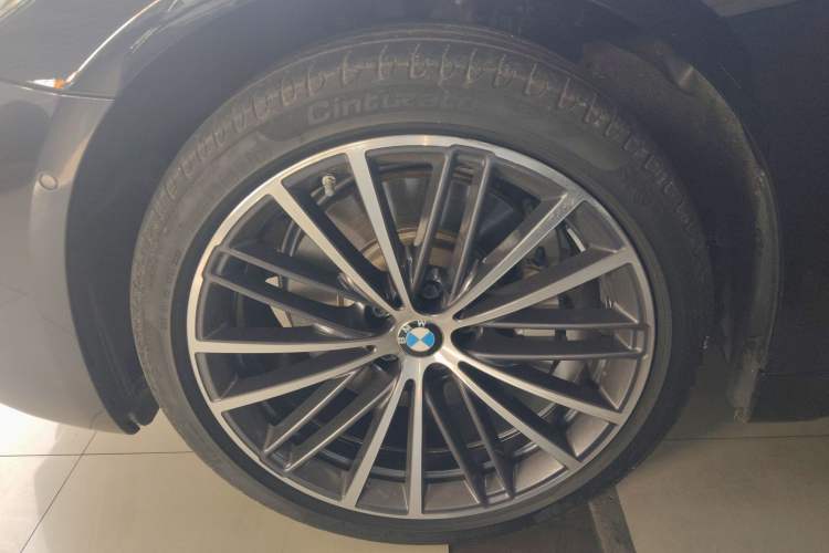 Used BMW 5 Series 2023 530Li Leading Model M Sport Package
