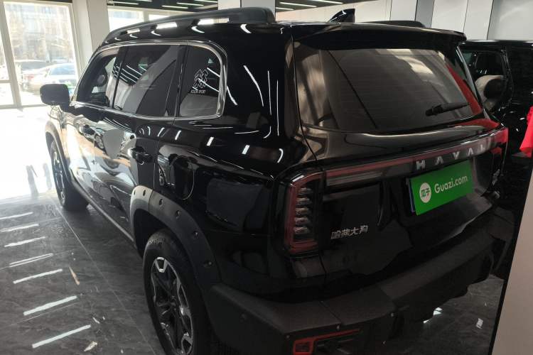 Used Haval DARGO 2024 2.0T DCT Chinese Rural Dog Edition
