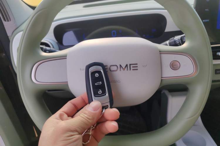 Used  Panda 2025 210km Panda Rider
