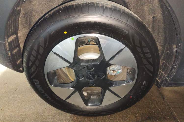 Used  Geome 2025 310km Dream Edition