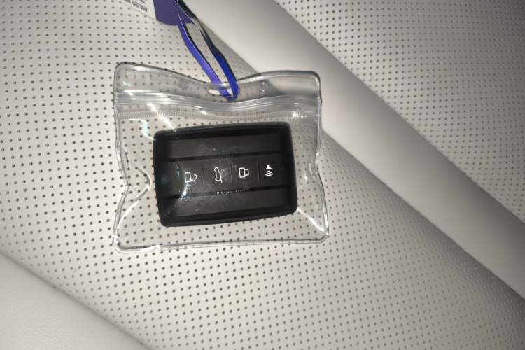 Used Tank 300 New Energy 2024 Hi4-T