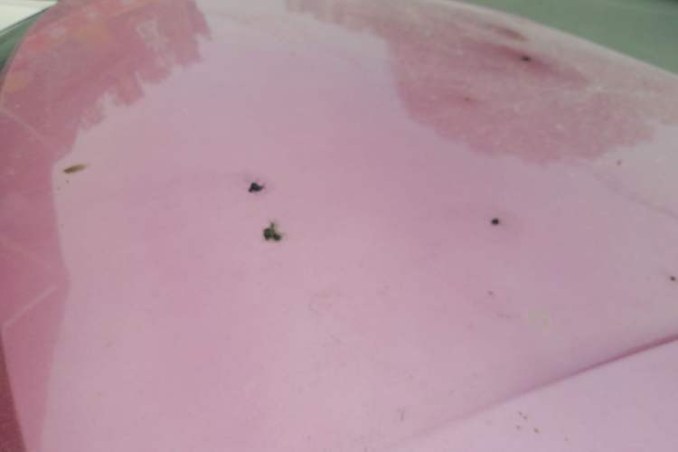 Used Baojun E200 2018 Intelligent Driving Edition
