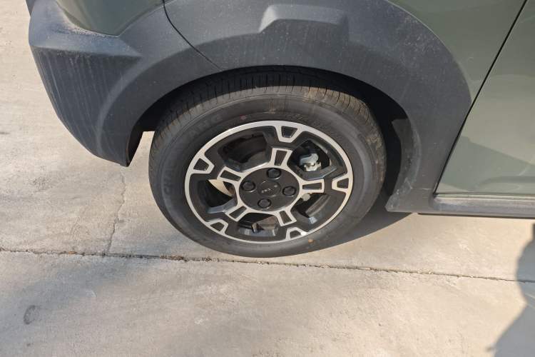 Used  Panda 2025 210km Panda Rider