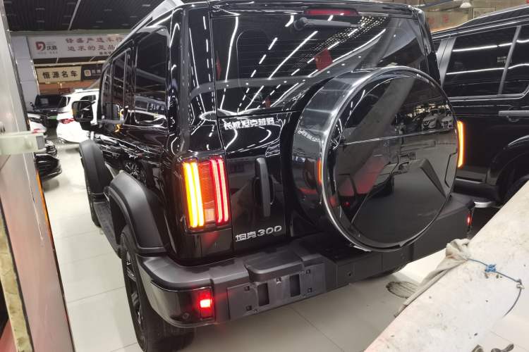 Used Tank 300 2024 2.0T Conqueror