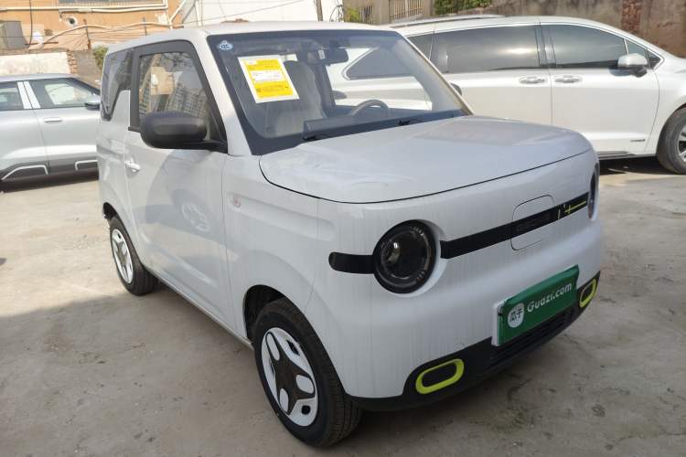 Used  Panda 2025 210 km – Yuanqi Bear