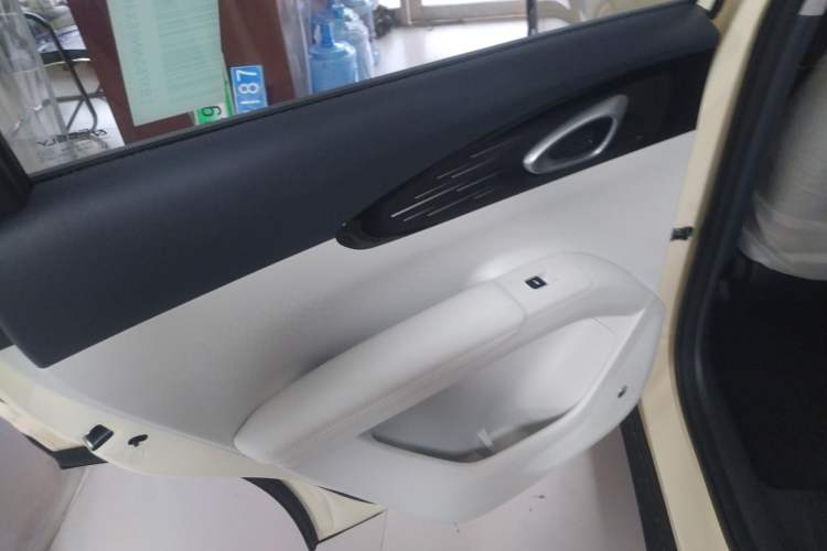 Used  Geome 2025 310km Youth Edition
