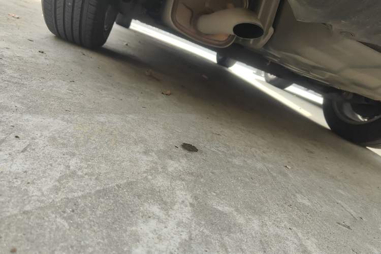 Used Nissan Sylphy 2019 1.6XV CVT Smart Connect Luxury Edition China V Standard
