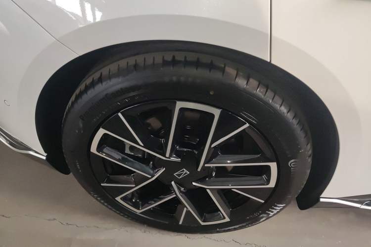 Used  06 2025 Max All-Electric Version