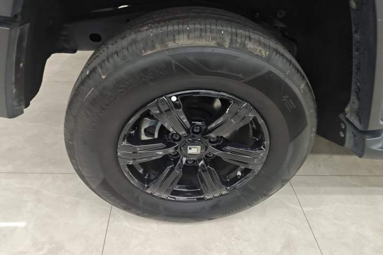 Used Tank 300 2024 2.0T Conqueror
