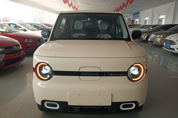 Used  Panda 2025 210 km – Yuanqi Bear
