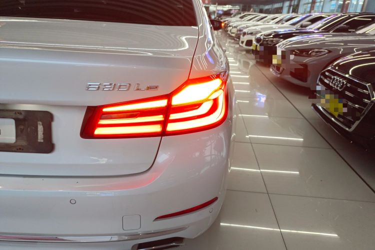 Used BMW 5 Series New Energy 2019 Updated Version 530Le Luxury Package
