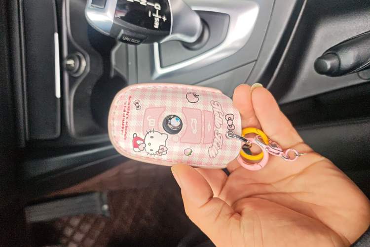 Used BMW 2 Series 2015 218i Convertible Coupe
